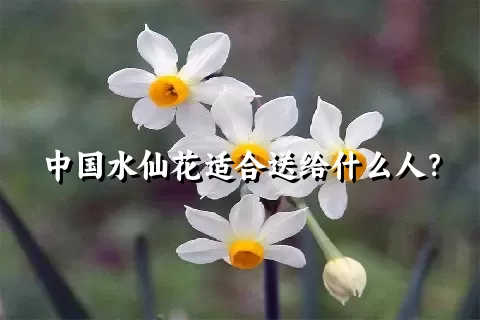 中国水仙花适合送给什么人？