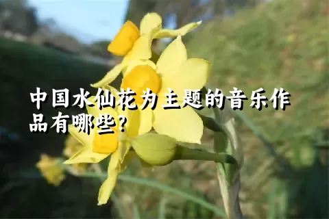 中国水仙花为主题的音乐作品有哪些？