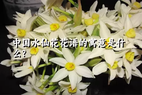 中国水仙花花语的寓意是什么？