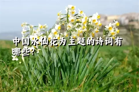 中国水仙花为主题的诗词有哪些？