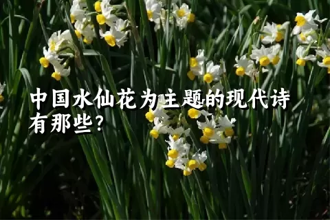 中国水仙花为主题的现代诗有那些？