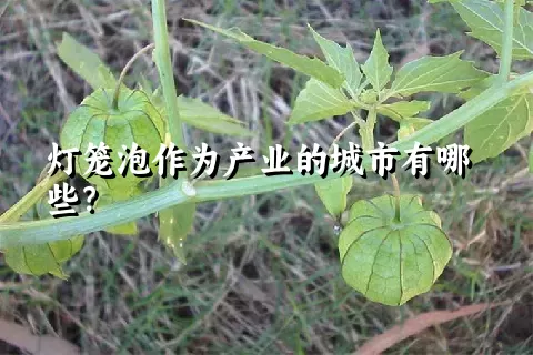 灯笼泡作为产业的城市有哪些？