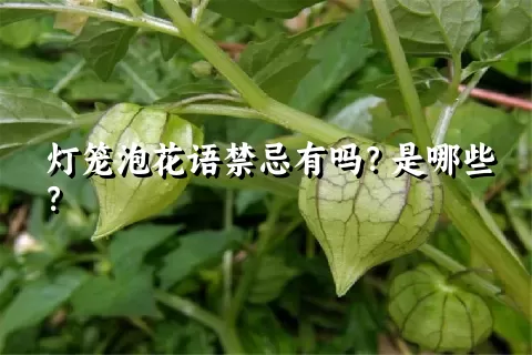 灯笼泡花语禁忌有吗？是哪些？