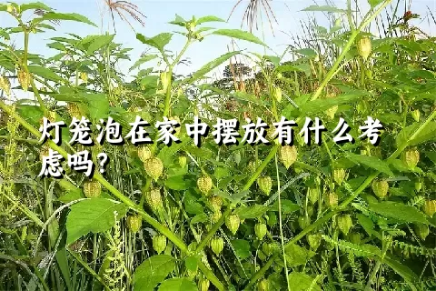 灯笼泡在家中摆放有什么考虑吗？