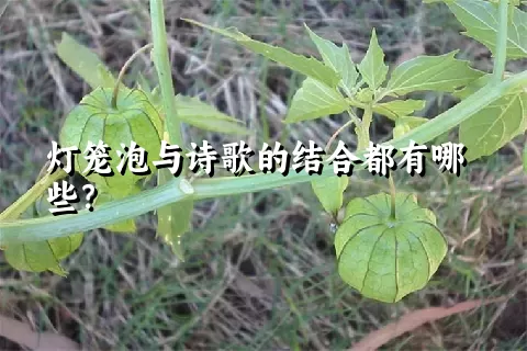 灯笼泡与诗歌的结合都有哪些？