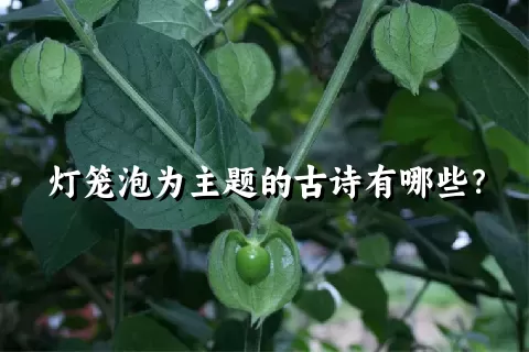 灯笼泡为主题的古诗有哪些？