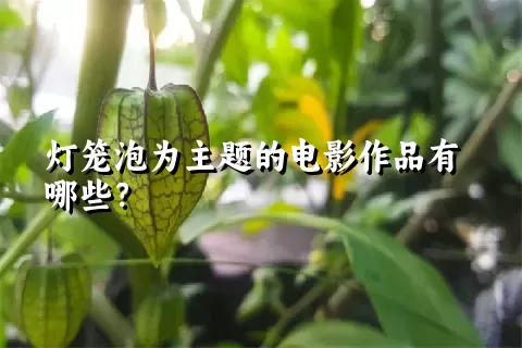 灯笼泡为主题的电影作品有哪些？