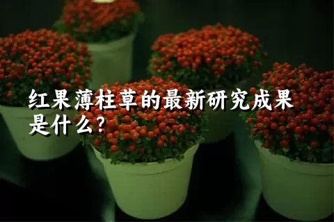 红果薄柱草的最新研究成果是什么？