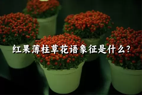 红果薄柱草花语象征是什么？