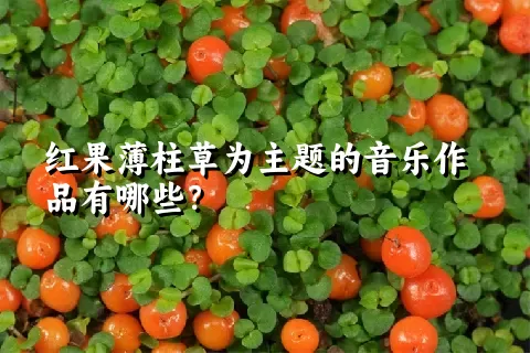 红果薄柱草为主题的音乐作品有哪些？