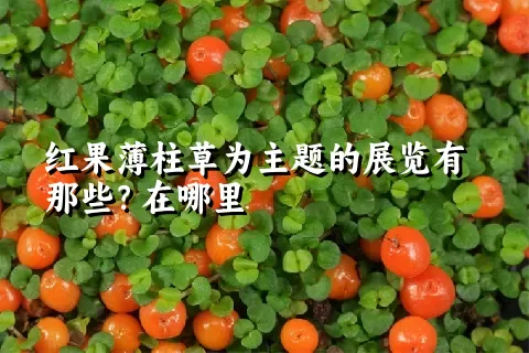 红果薄柱草为主题的展览有那些？在哪里