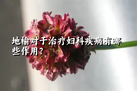 地榆对于治疗妇科疾病有哪些作用？