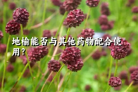 地榆能否与其他药物配合使用？