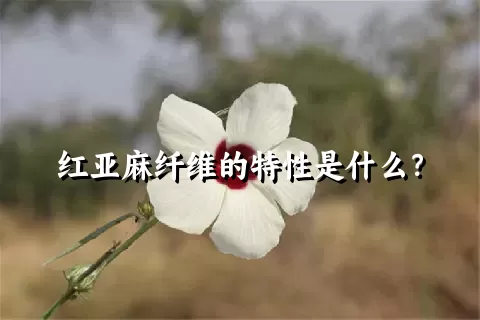 红亚麻纤维的特性是什么？