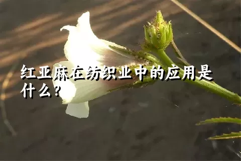 红亚麻在纺织业中的应用是什么？