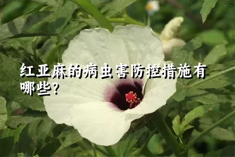 红亚麻的病虫害防控措施有哪些？