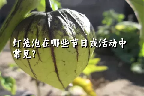 灯笼泡在哪些节日或活动中常见？