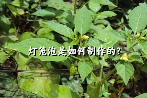 灯笼泡是如何制作的？