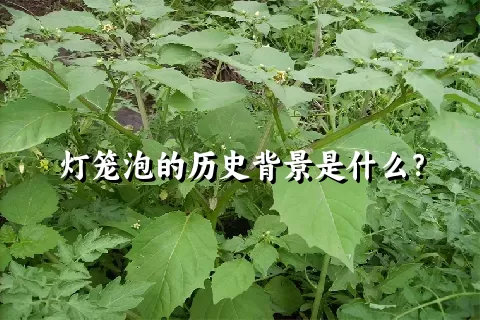 灯笼泡的历史背景是什么？