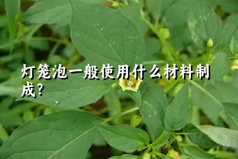 灯笼泡一般使用什么材料制成？