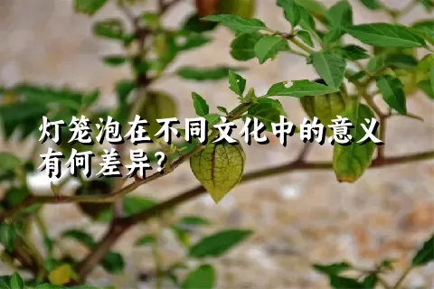 灯笼泡在不同文化中的意义有何差异？