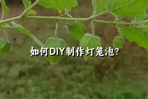 如何DIY制作灯笼泡？