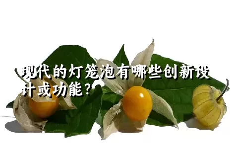 现代的灯笼泡有哪些创新设计或功能？