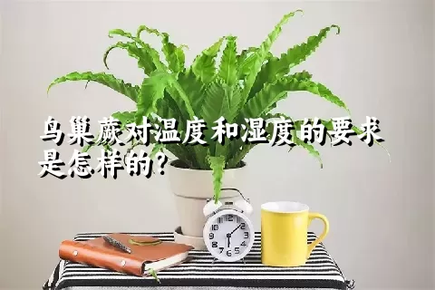 鸟巢蕨对温度和湿度的要求是怎样的？