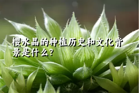 樱水晶的种植历史和文化背景是什么？