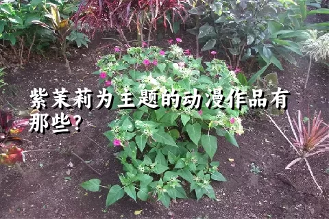 紫茉莉为主题的动漫作品有那些？