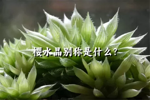 樱水晶别称是什么？