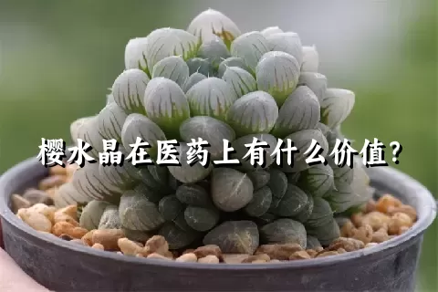 樱水晶在医药上有什么价值？