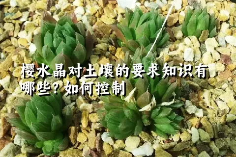 樱水晶对土壤的要求知识有哪些？如何控制