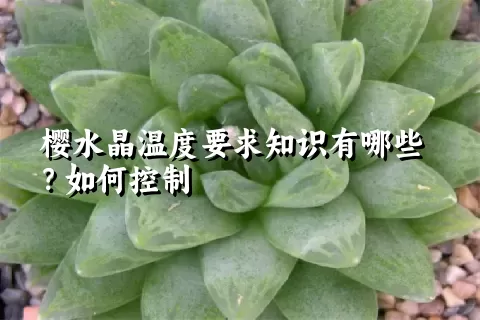 樱水晶温度要求知识有哪些？如何控制