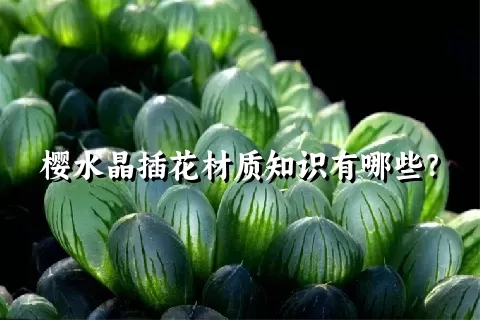 樱水晶插花材质知识有哪些？