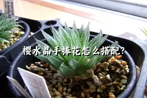 樱水晶手捧花怎么搭配？