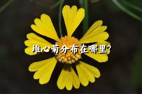 堆心菊分布在哪里?