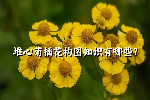 堆心菊插花构图知识有哪些？