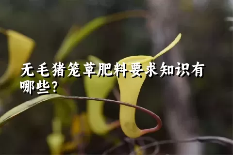 无毛猪笼草肥料要求知识有哪些？