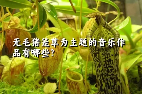 无毛猪笼草为主题的音乐作品有哪些？