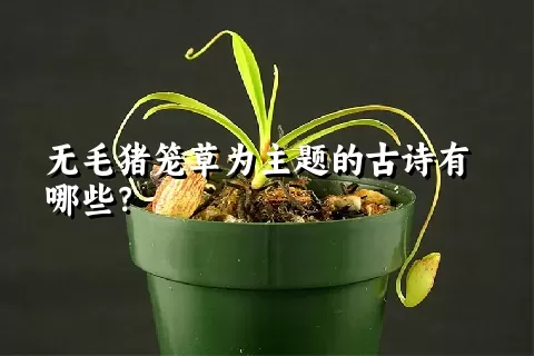 无毛猪笼草为主题的古诗有哪些？