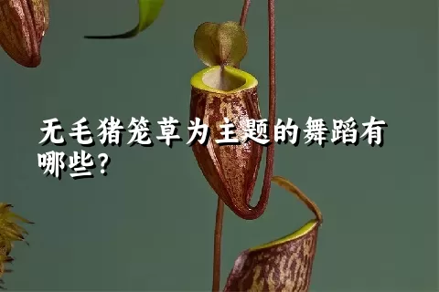 无毛猪笼草为主题的舞蹈有哪些？