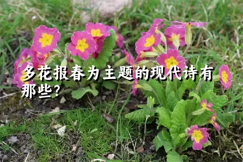 多花报春为主题的现代诗有那些？