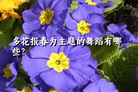 多花报春为主题的舞蹈有哪些？