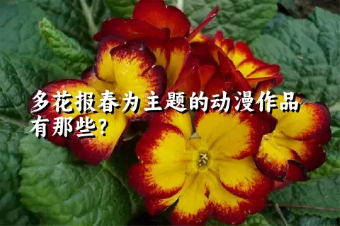 多花报春为主题的动漫作品有那些？