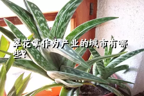 翠花掌作为产业的城市有哪些？