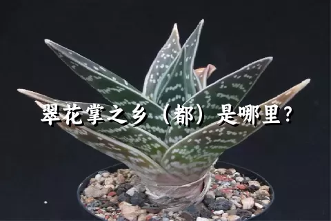 翠花掌之乡（都）是哪里？