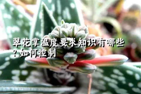 翠花掌温度要求知识有哪些？如何控制