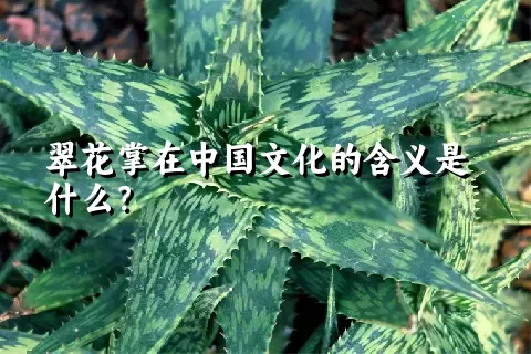 翠花掌在中国文化的含义是什么？