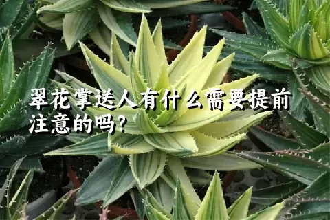 翠花掌送人有什么需要提前注意的吗？